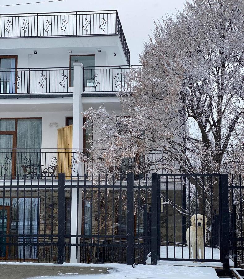 Mood Hotel Kazbegi Екстериор снимка